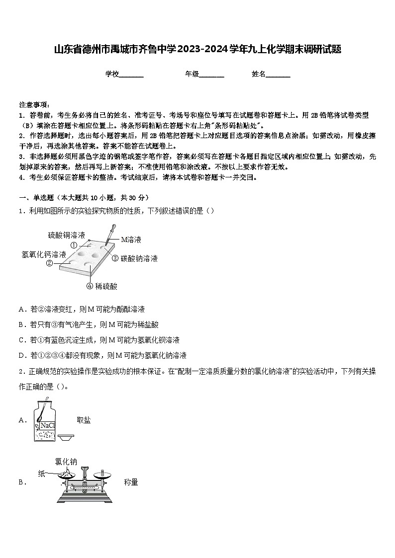 山东省德州市禹城市齐鲁中学2023-2024学年九上化学期末调研试题含答案01