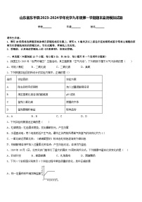 山东省东平县2023-2024学年化学九年级第一学期期末监测模拟试题含答案