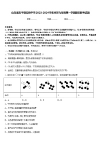 山东省东平县实验中学2023-2024学年化学九年级第一学期期末联考试题含答案