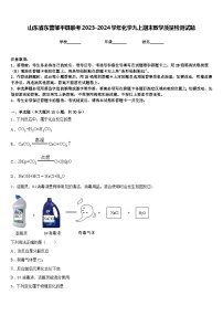 山东省东营邹平县联考2023-2024学年化学九上期末教学质量检测试题含答案