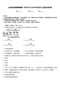 山东省巨野县麒麟镇第一中学2023-2024学年化学九上期末统考试题含答案