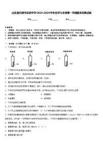 山东省乐陵市实验中学2023-2024学年化学九年级第一学期期末经典试题含答案