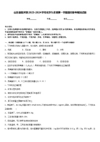 山东省临沭县2023-2024学年化学九年级第一学期期末联考模拟试题含答案