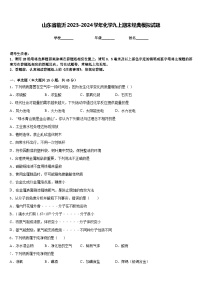 山东省临沂2023-2024学年化学九上期末经典模拟试题含答案