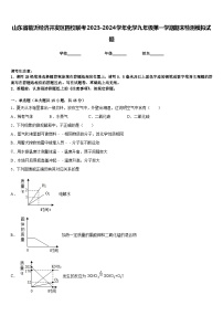 山东省临沂经济开发区四校联考2023-2024学年化学九年级第一学期期末检测模拟试题含答案