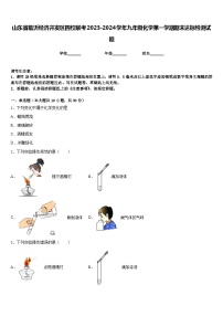 山东省临沂经济开发区四校联考2023-2024学年九年级化学第一学期期末达标检测试题含答案