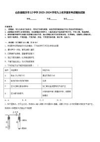 山东省临沂市12中学2023-2024学年九上化学期末考试模拟试题含答案