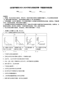 山东省平原县2023-2024学年九年级化学第一学期期末预测试题含答案