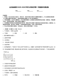 山东省威海市2023-2024学年九年级化学第一学期期末经典试题含答案