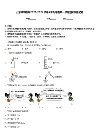 山东潍坊临朐2023-2024学年化学九年级第一学期期末预测试题含答案