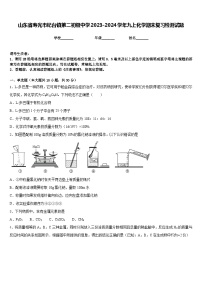 山东省寿光市纪台镇第二初级中学2023-2024学年九上化学期末复习检测试题含答案