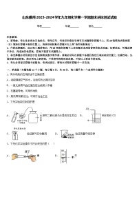 山东滕州2023-2024学年九年级化学第一学期期末达标测试试题含答案