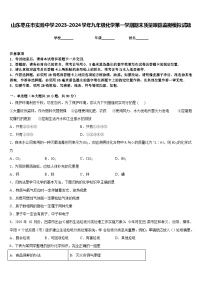 山东枣庄市实验中学2023-2024学年九年级化学第一学期期末质量跟踪监视模拟试题含答案