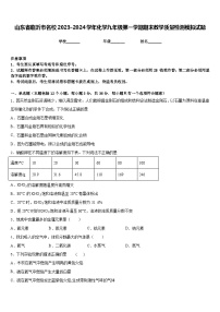 山东省临沂市名校2023-2024学年化学九年级第一学期期末教学质量检测模拟试题含答案