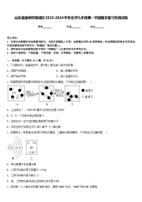 山东省德州市陵城区2023-2024学年化学九年级第一学期期末复习检测试题含答案