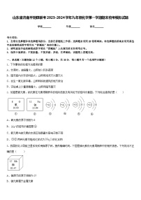 山东省济南平阴县联考2023-2024学年九年级化学第一学期期末统考模拟试题含答案