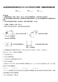 山东省济南市莱芜区莲河学校2023-2024学年化学九年级第一学期期末联考模拟试题含答案