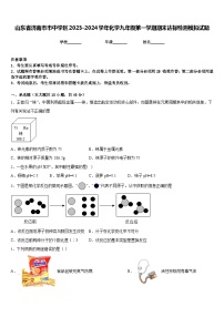 山东省济南市市中学区2023-2024学年化学九年级第一学期期末达标检测模拟试题含答案