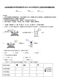 山东省济南市市中学区育英中学2023-2024学年化学九上期末达标检测模拟试题含答案