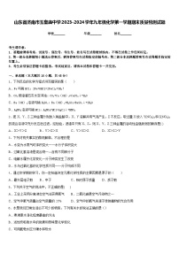 山东省济南市玉皇庙中学2023-2024学年九年级化学第一学期期末质量检测试题含答案