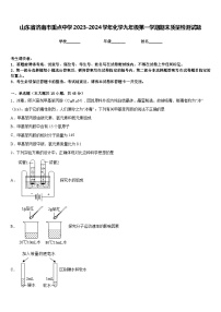 山东省济南市重点中学2023-2024学年化学九年级第一学期期末质量检测试题含答案