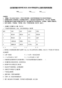 山东省济南兴济中学2023-2024学年化学九上期末质量检测试题含答案