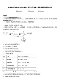 山东省梁山县2023-2024学年化学九年级第一学期期末检测模拟试题含答案