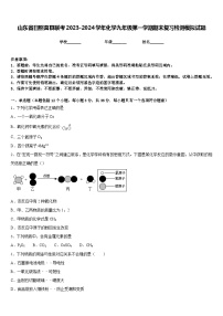 山东省日照莒县联考2023-2024学年化学九年级第一学期期末复习检测模拟试题含答案