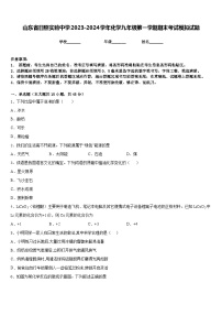 山东省日照实验中学2023-2024学年化学九年级第一学期期末考试模拟试题含答案