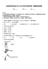 山东省日照市岚山区2023-2024学年九年级化学第一学期期末预测试题含答案