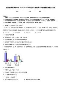 山东省泰安第十中学2023-2024学年化学九年级第一学期期末统考模拟试题含答案