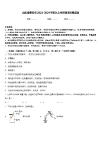 山东省泰安市2023-2024学年九上化学期末经典试题含答案