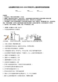 山东省泰安市名校2023-2024学年化学九上期末教学质量检测试题含答案