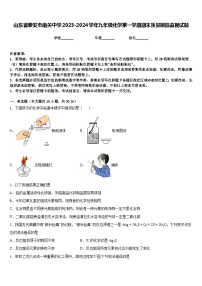 山东省泰安市南关中学2023-2024学年九年级化学第一学期期末质量跟踪监视试题含答案