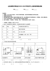 山东省泰安市泰山区2023-2024学年化学九上期末联考模拟试题含答案