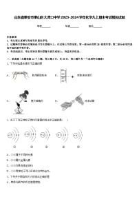 山东省泰安市泰山区大津口中学2023-2024学年化学九上期末考试模拟试题含答案