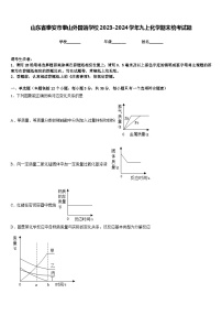 山东省泰安市泰山外国语学校2023-2024学年九上化学期末统考试题含答案