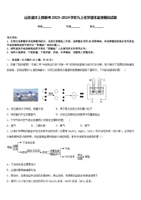 山东省汶上县联考2023-2024学年九上化学期末监测模拟试题含答案