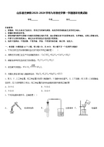 山东省无棣县2023-2024学年九年级化学第一学期期末经典试题含答案