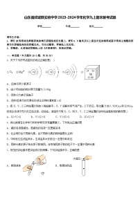 山东省武城县实验中学2023-2024学年化学九上期末联考试题含答案