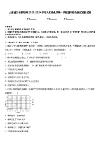 山东省沂水县联考2023-2024学年九年级化学第一学期期末综合测试模拟试题含答案