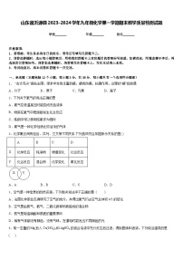 山东省沂源县2023-2024学年九年级化学第一学期期末教学质量检测试题含答案