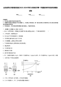 山东省枣庄市薛城区临城2023-2024学年九年级化学第一学期期末教学质量检测模拟试题含答案