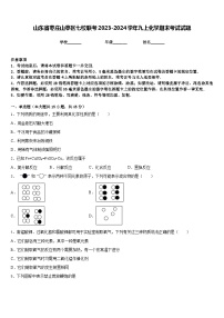 山东省枣庄山亭区七校联考2023-2024学年九上化学期末考试试题含答案