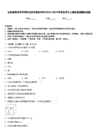 山东省枣庄市中学区永安乡黄庄中学2023-2024学年化学九上期末监测模拟试题含答案