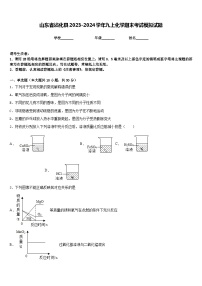 山东省沾化县2023-2024学年九上化学期末考试模拟试题含答案