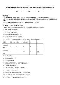 山东省滨州地区2023-2024学年九年级化学第一学期期末综合测试模拟试题含答案