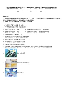 山东省滨州市部分学校2023-2024学年九上化学期末教学质量检测模拟试题含答案