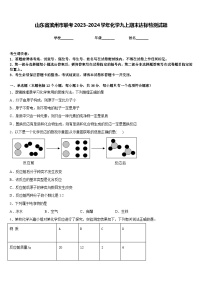 山东省滨州市联考2023-2024学年化学九上期末达标检测试题含答案