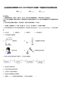 山东省滨州无棣县联考2023-2024学年化学九年级第一学期期末综合测试模拟试题含答案